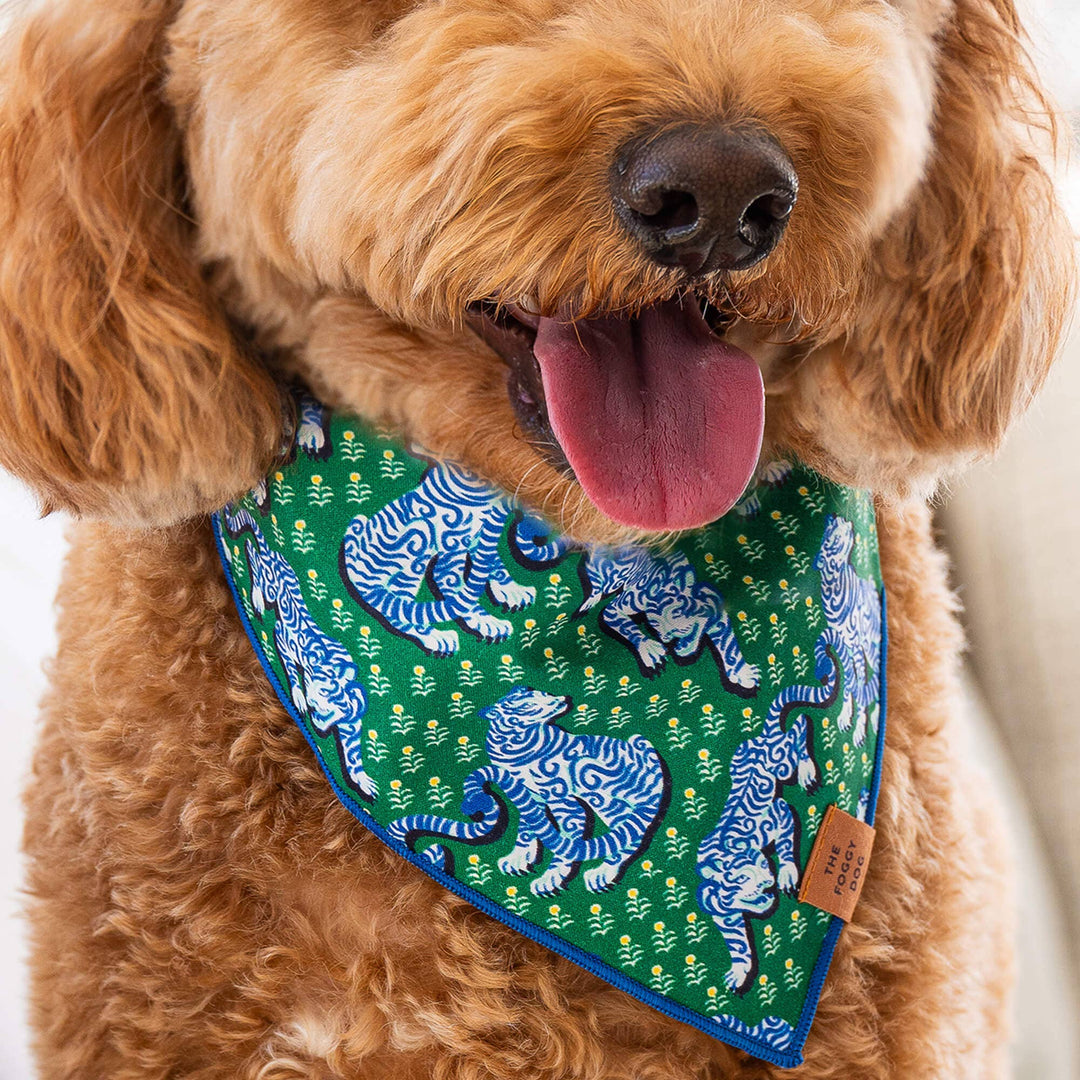 Printfresh x TFD Tiger Queen Dog Bandana
