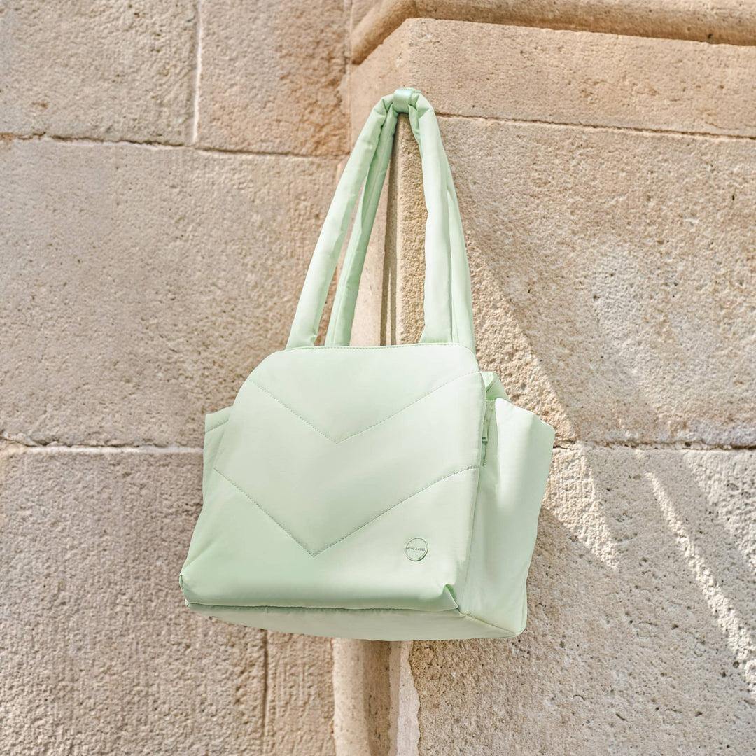 Destination Pet Carrier Tote