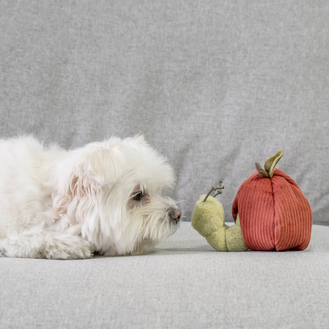 Apple Enrichment Toy Set - Snuffle Toy