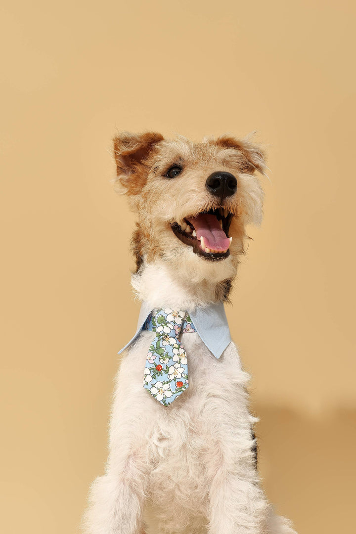 Blue Botanique Necktie Bandana