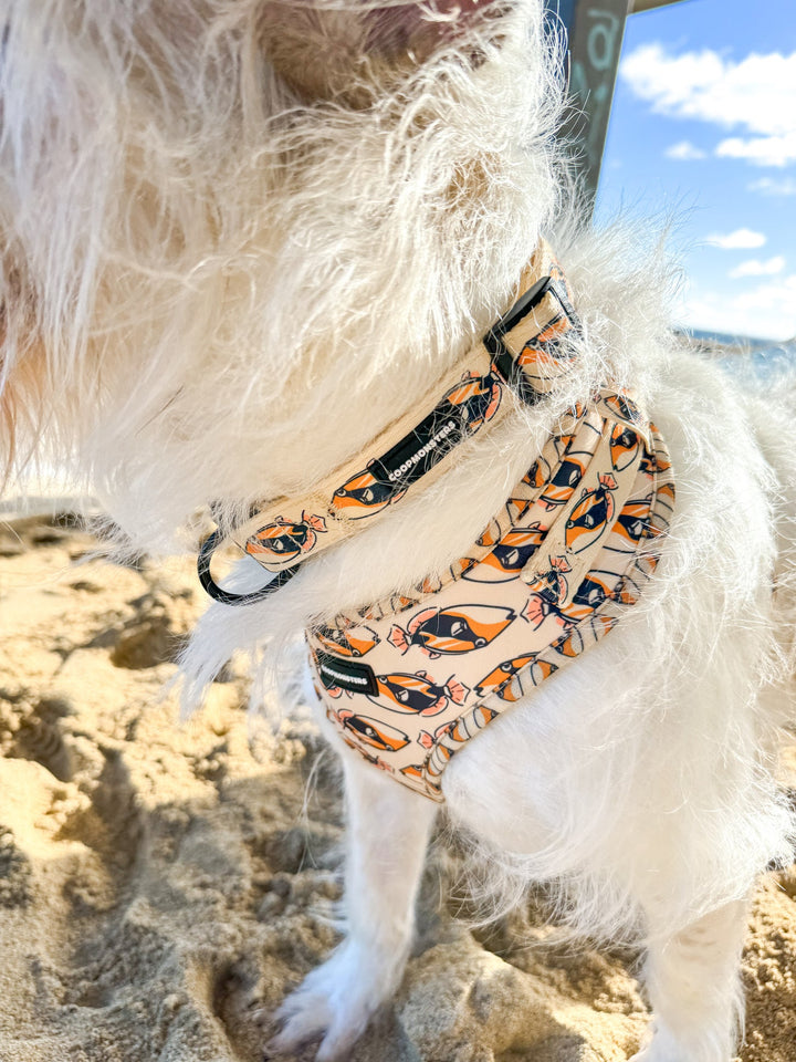 Collar - Humu
