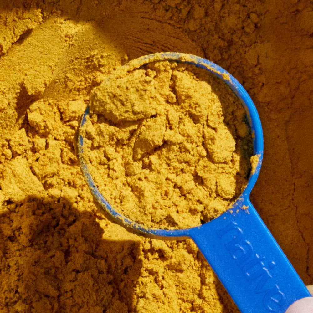 Organic Pumpkin Fiber Powder, Digestive Supplement for Dogs