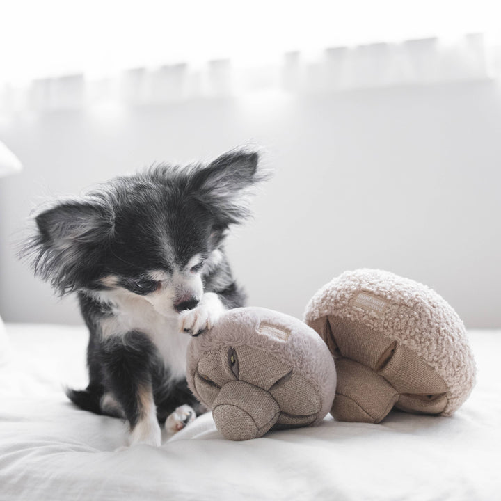 Guu Haze Mushroom Enrichment Toy