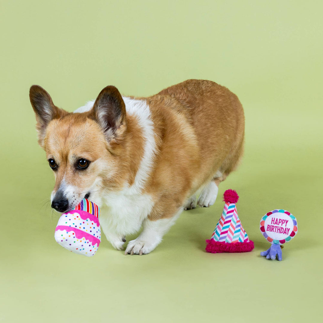 CAN I GET A WOOFWOOF 3PCS SMALL DOG TOY