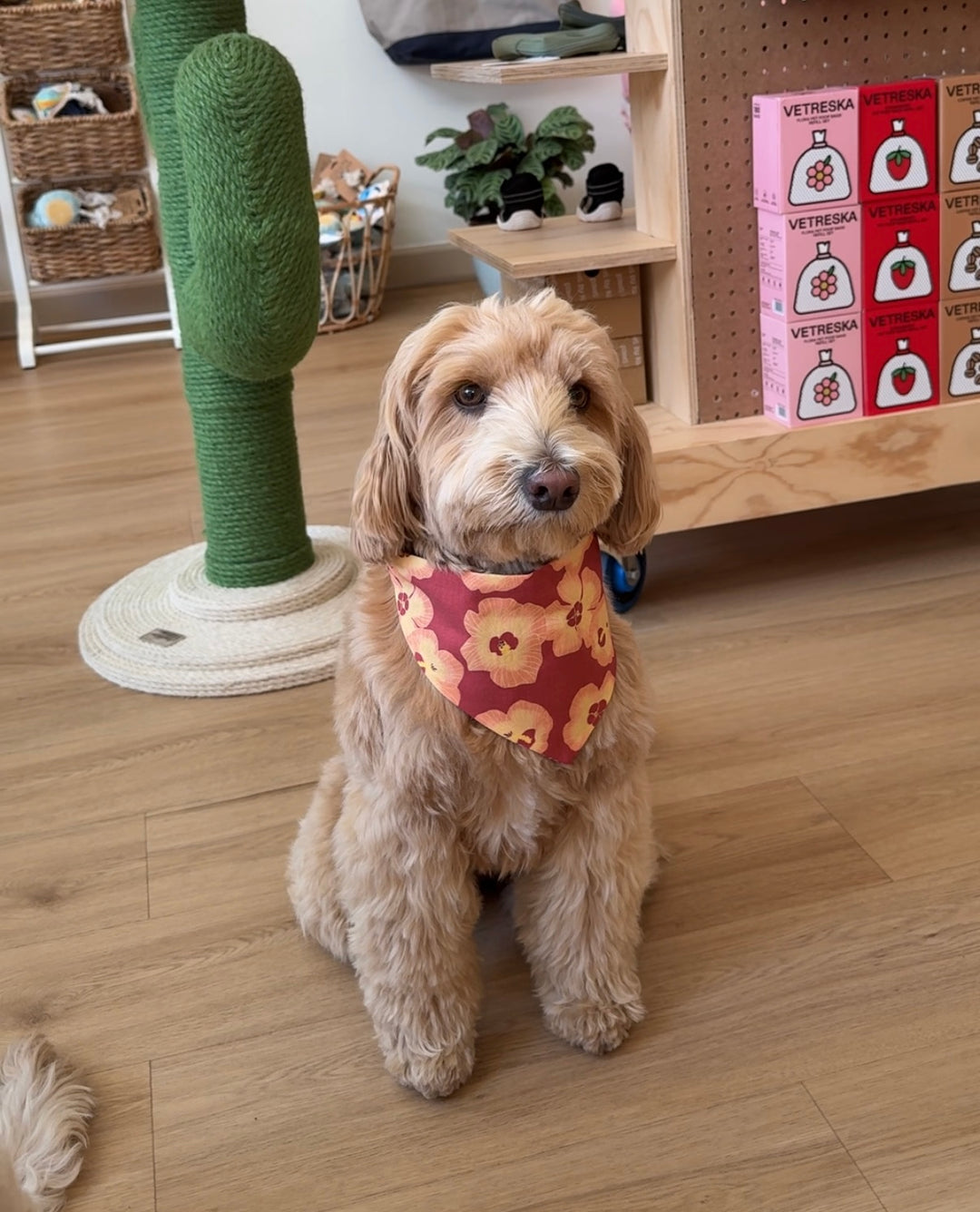 Bandana - Hibiscus Maroon