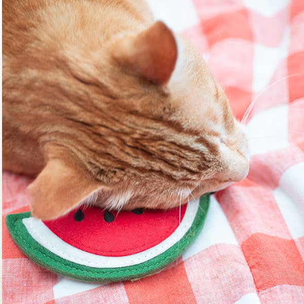 Watermelon Wool Organic Catnip Toy