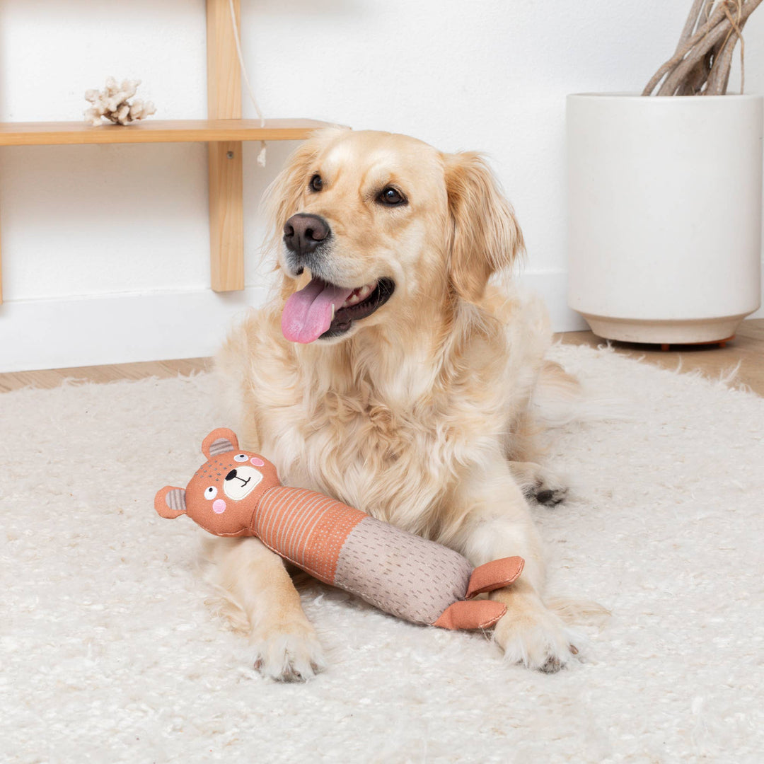 DOING THE BEAR MINIMUM CANVAS DOG TOY