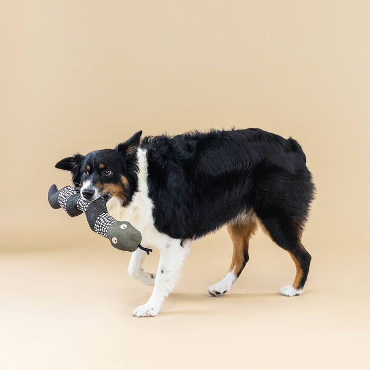 SSSSSSUP CANVAS DOG TOY