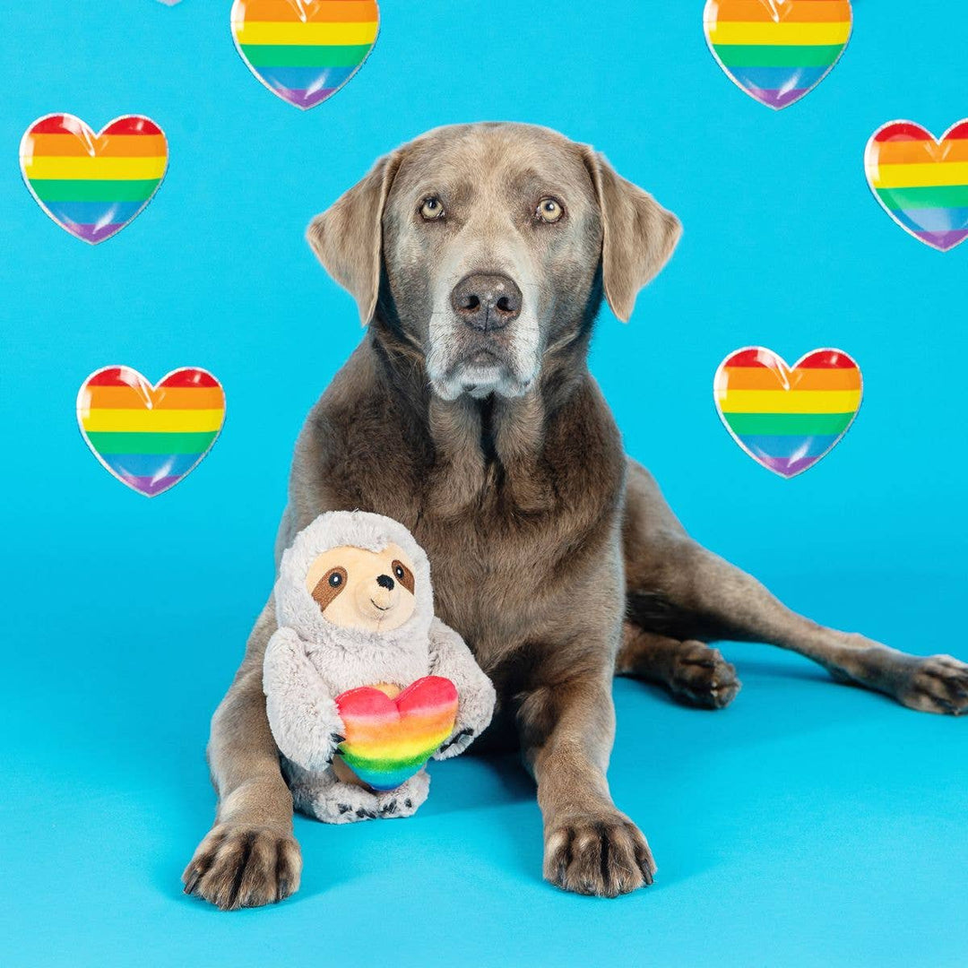 Follow Your Rainbow Plush Dog Toy