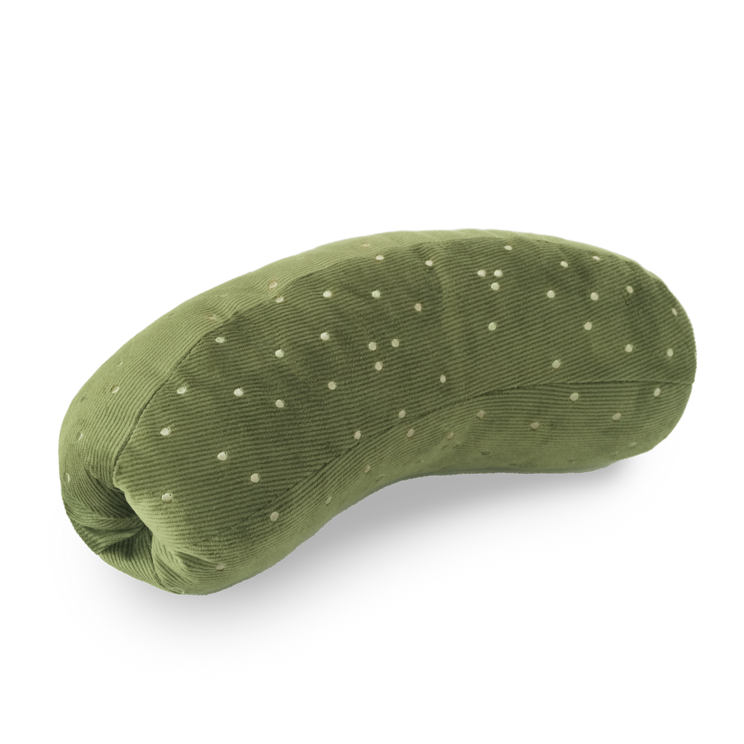 Giant Pickle Enrichment Toy