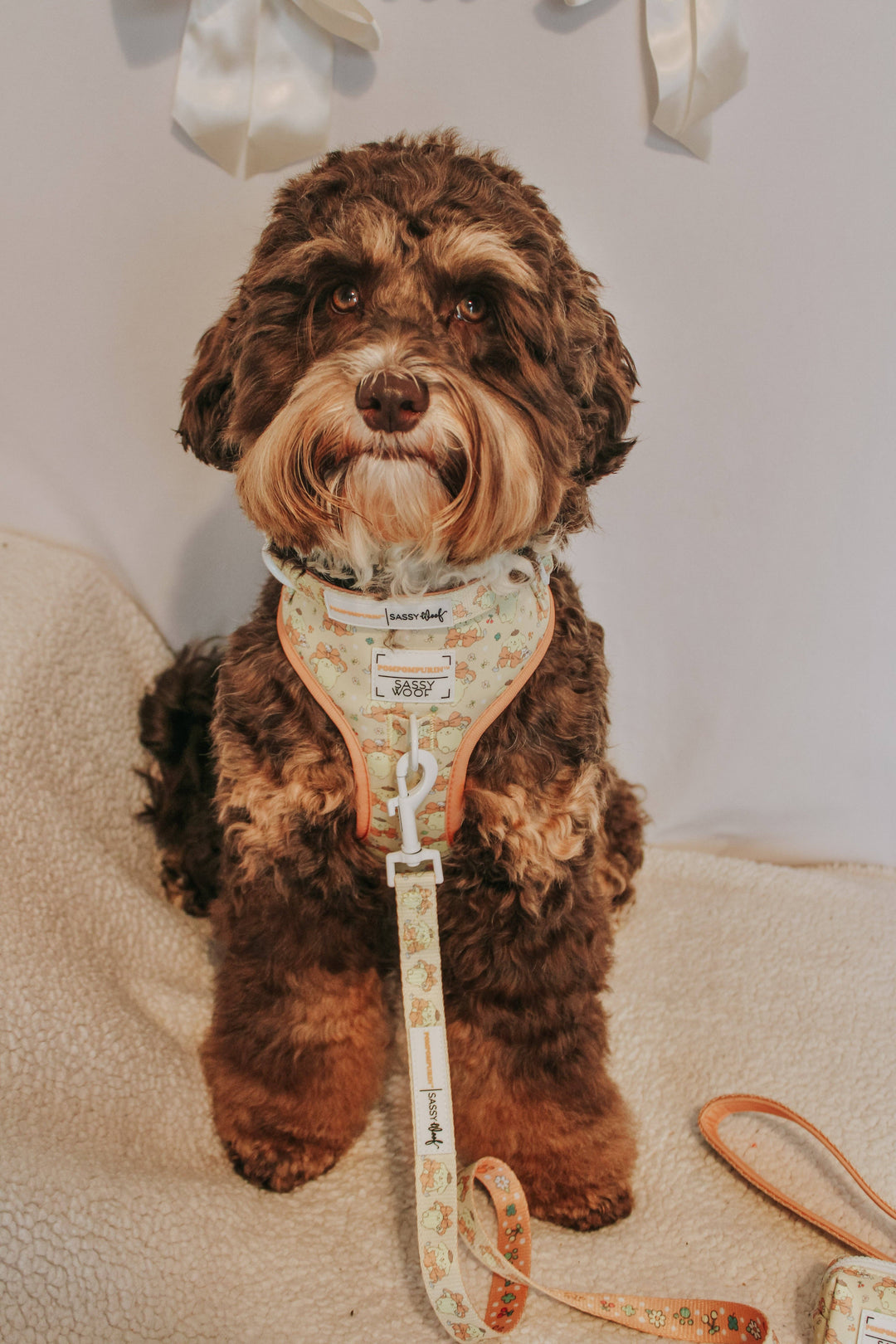 Pompompurin™ Adjustable Harness