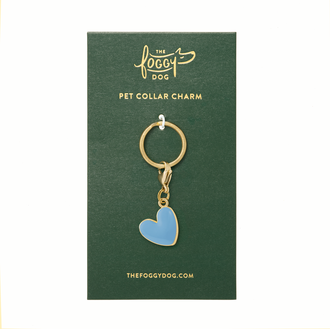 Blue Heart Collar Charm