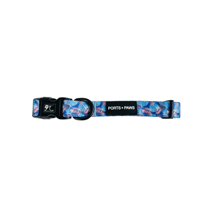 Collar - Porter