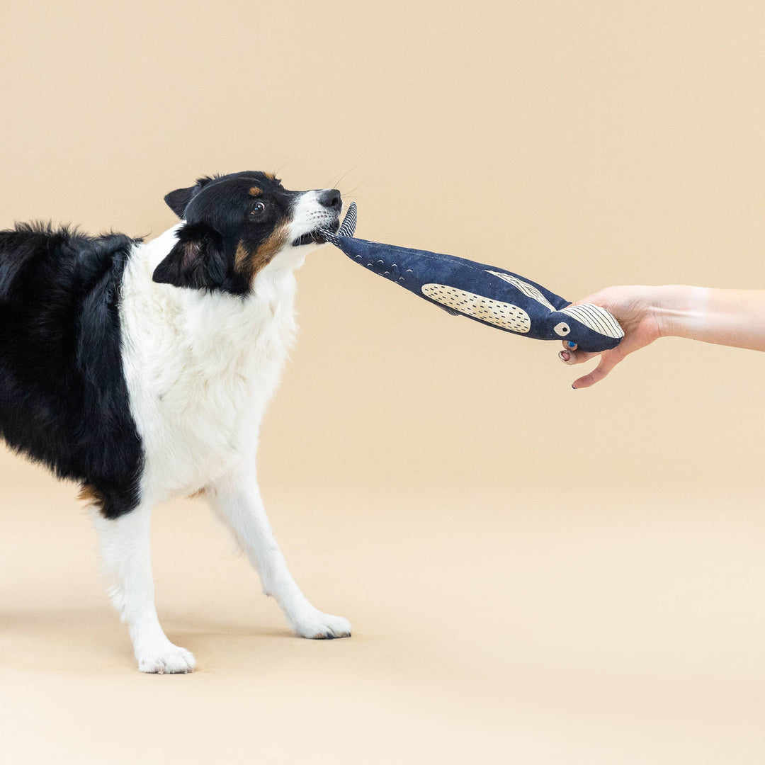 THERE SHE BLOWS CANVAS DOG TOY