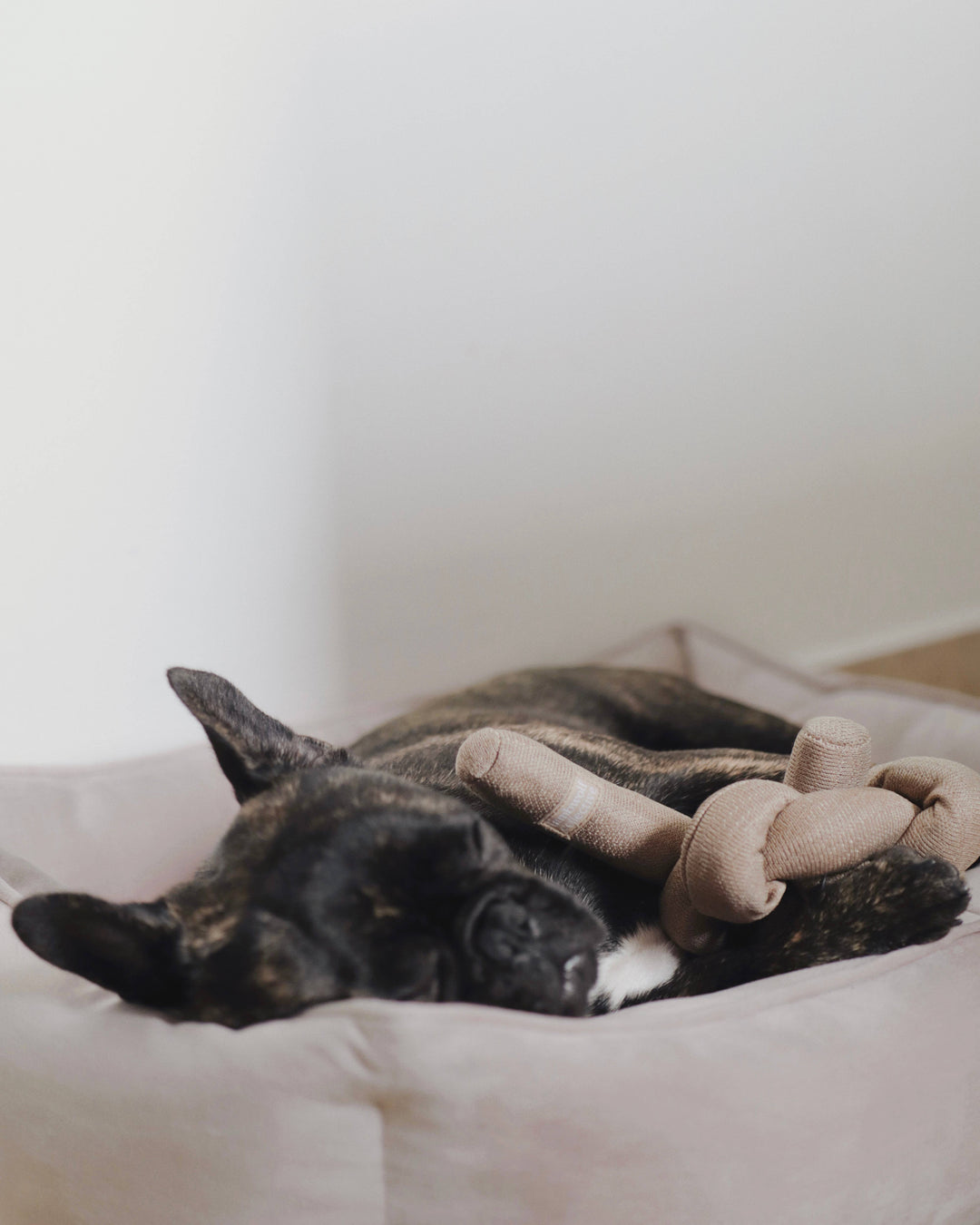 Nou Tan Enrichment Dog Toy