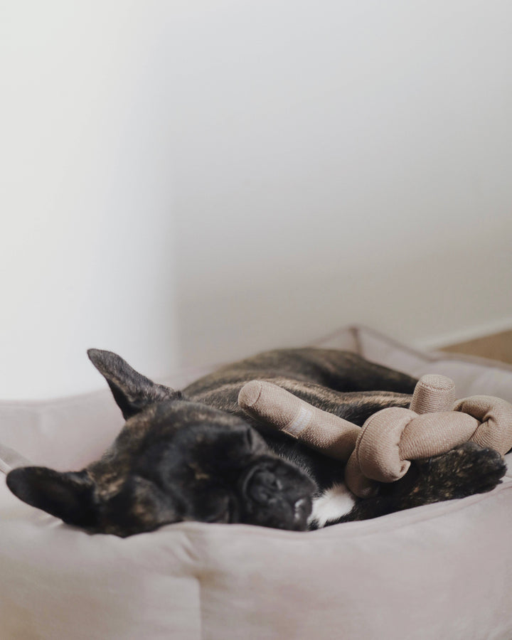 Nou Tan Enrichment Dog Toy