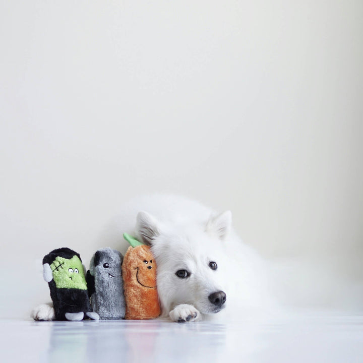 Squeakie Buddies Frankenstein, Pumpkin, Bat Dog Toy
