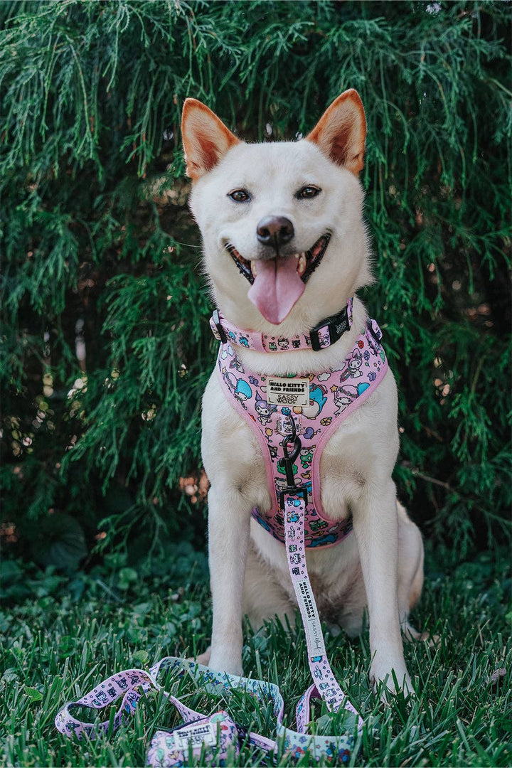 Hello Kitty® &amp; Friends Flower Festival - Adjustable Harness