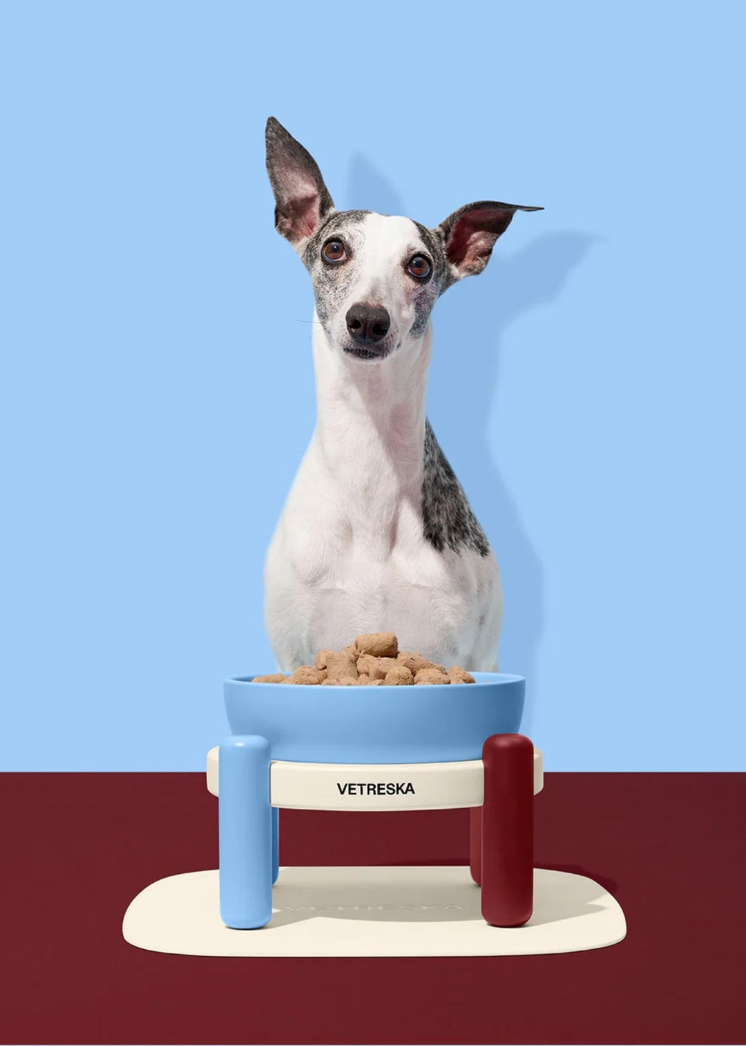Mist and Merlot Pet Bowl Set