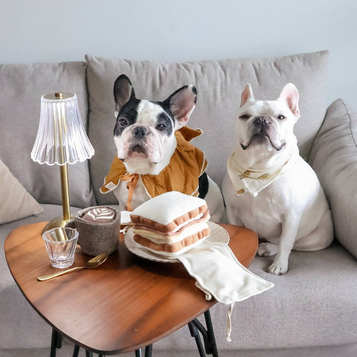 Latte Pop Enrichment Snuffle Toy
