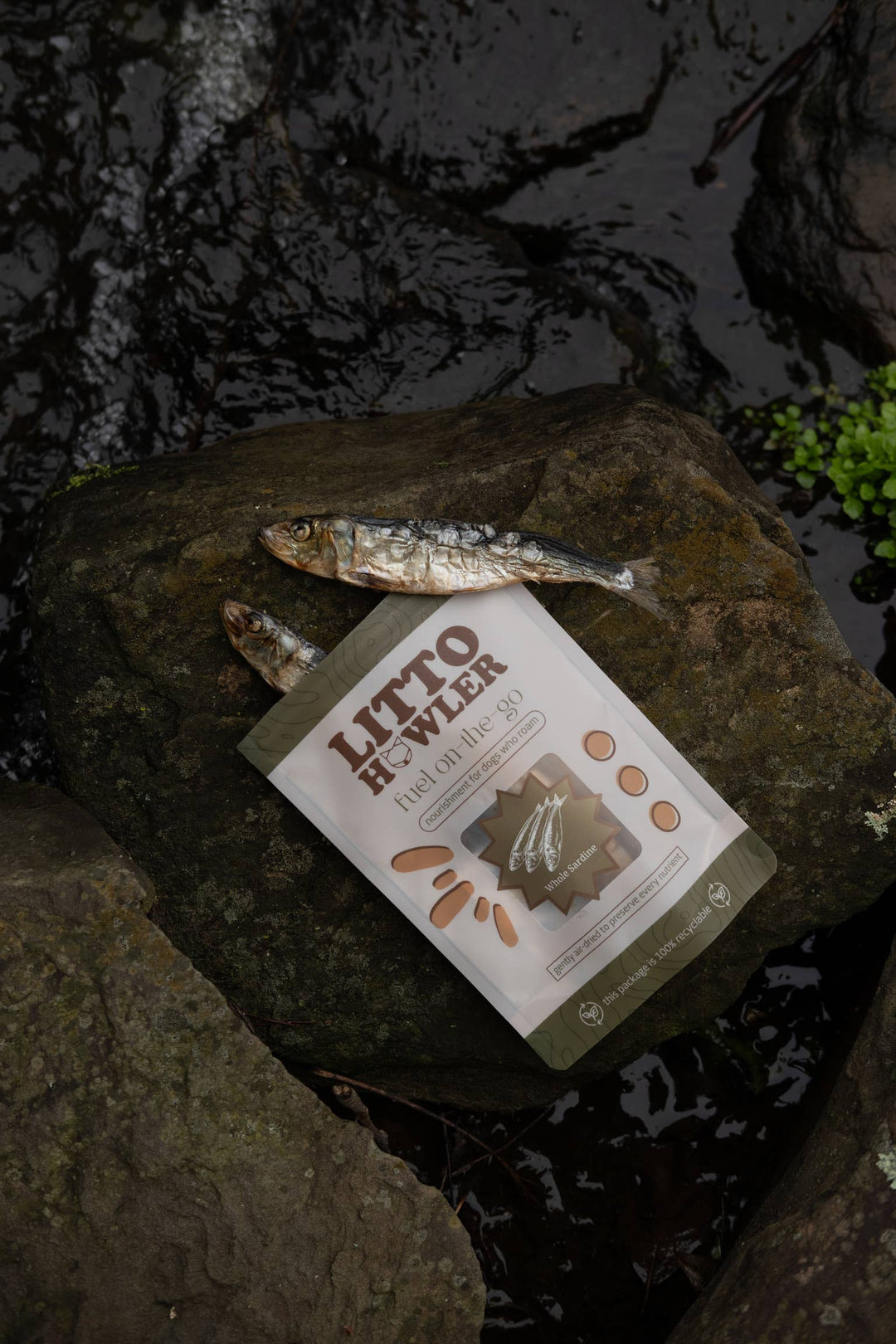 Whole Sardines | 6 oz