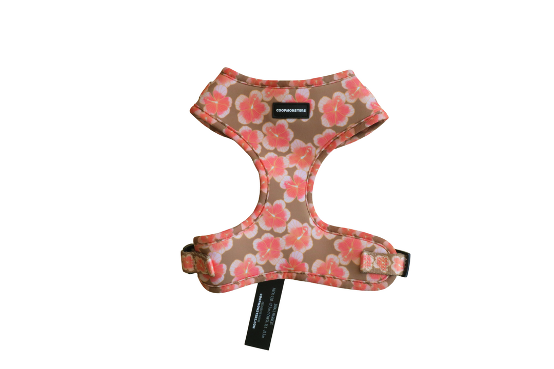 Harness - Hibiscus