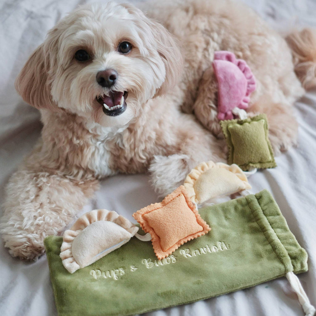 Ravioli Nosework Enrichment Toy | Squeaker | Crinkle