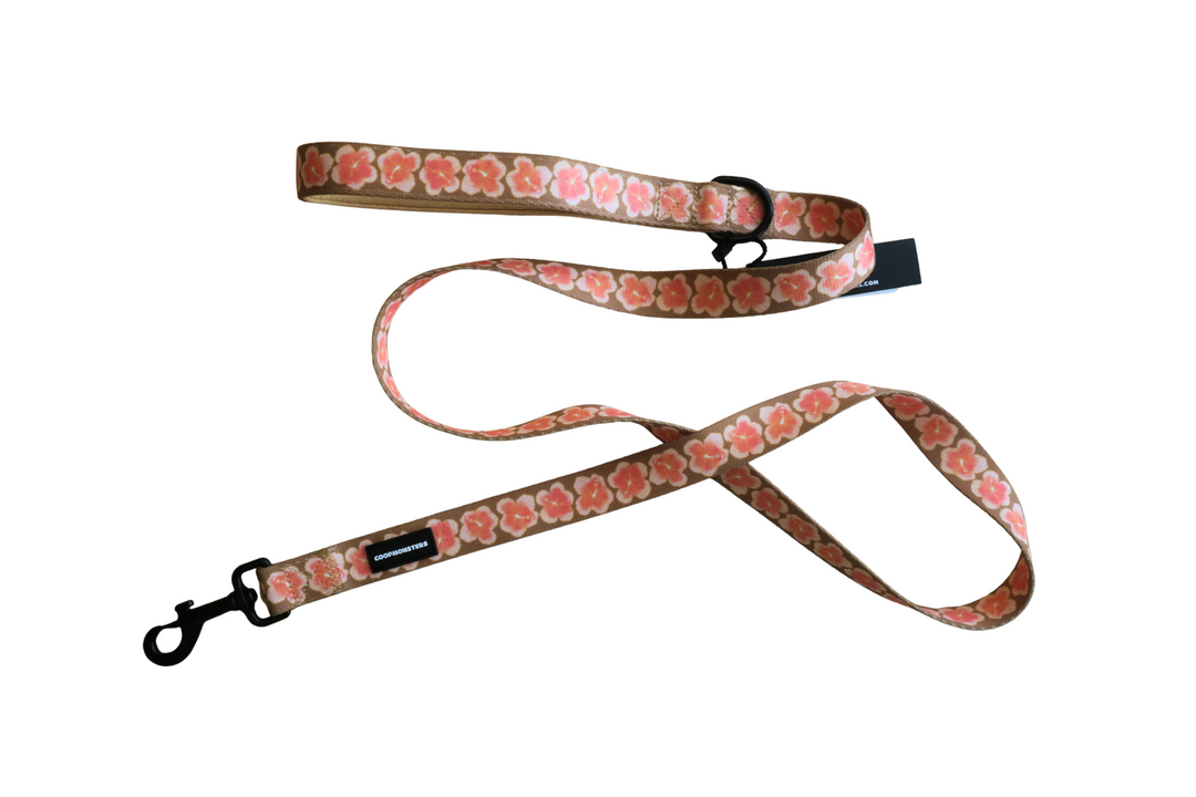 Leash - Hibiscus