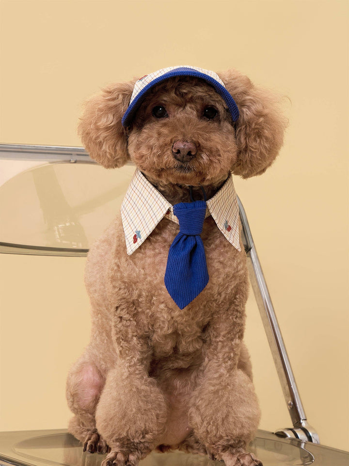 Sunny Days Blue Checkered Dog Cap