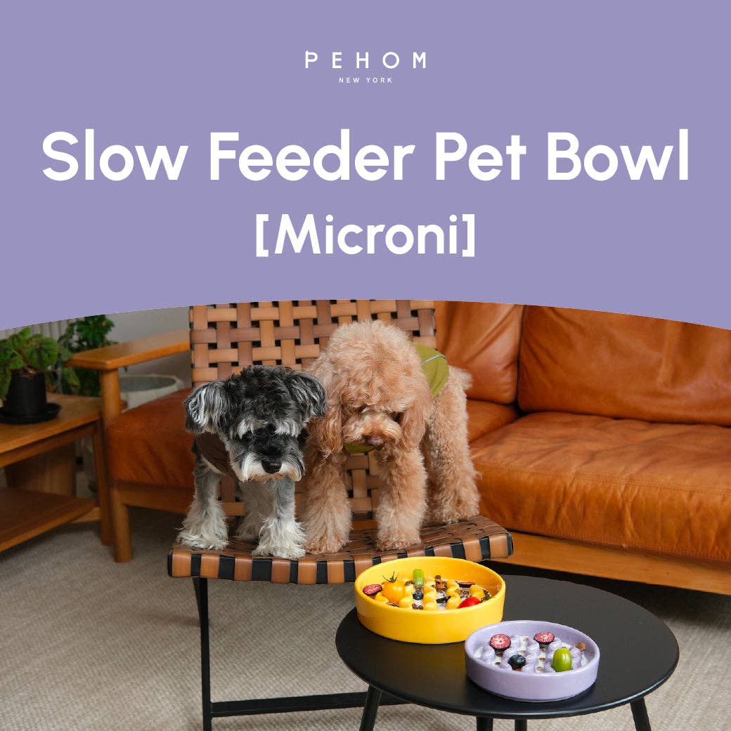 Macaroni Slow Feeder Dog Bowl