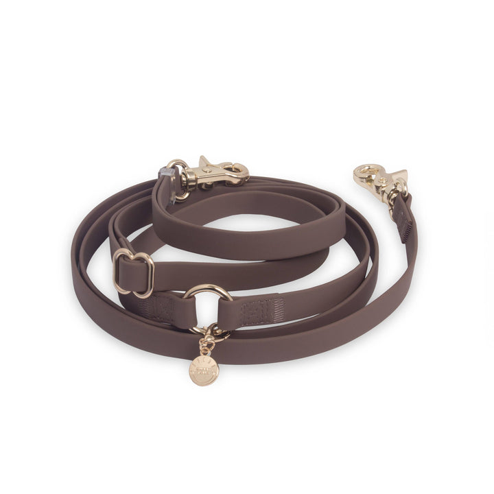 Espresso Brown 4-in-1 Convertible Hands Free Cloud Dog Leash