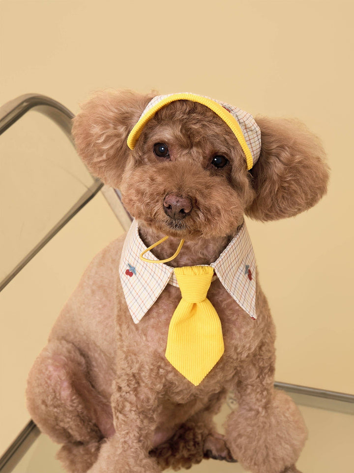 Sunny Days Yellow Checkered Dog Cap