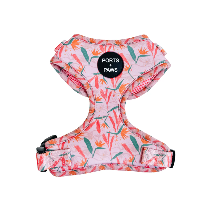 Harness - Paiko