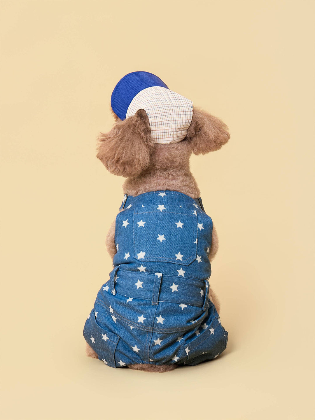 Sunny Days Blue Checkered Dog Cap