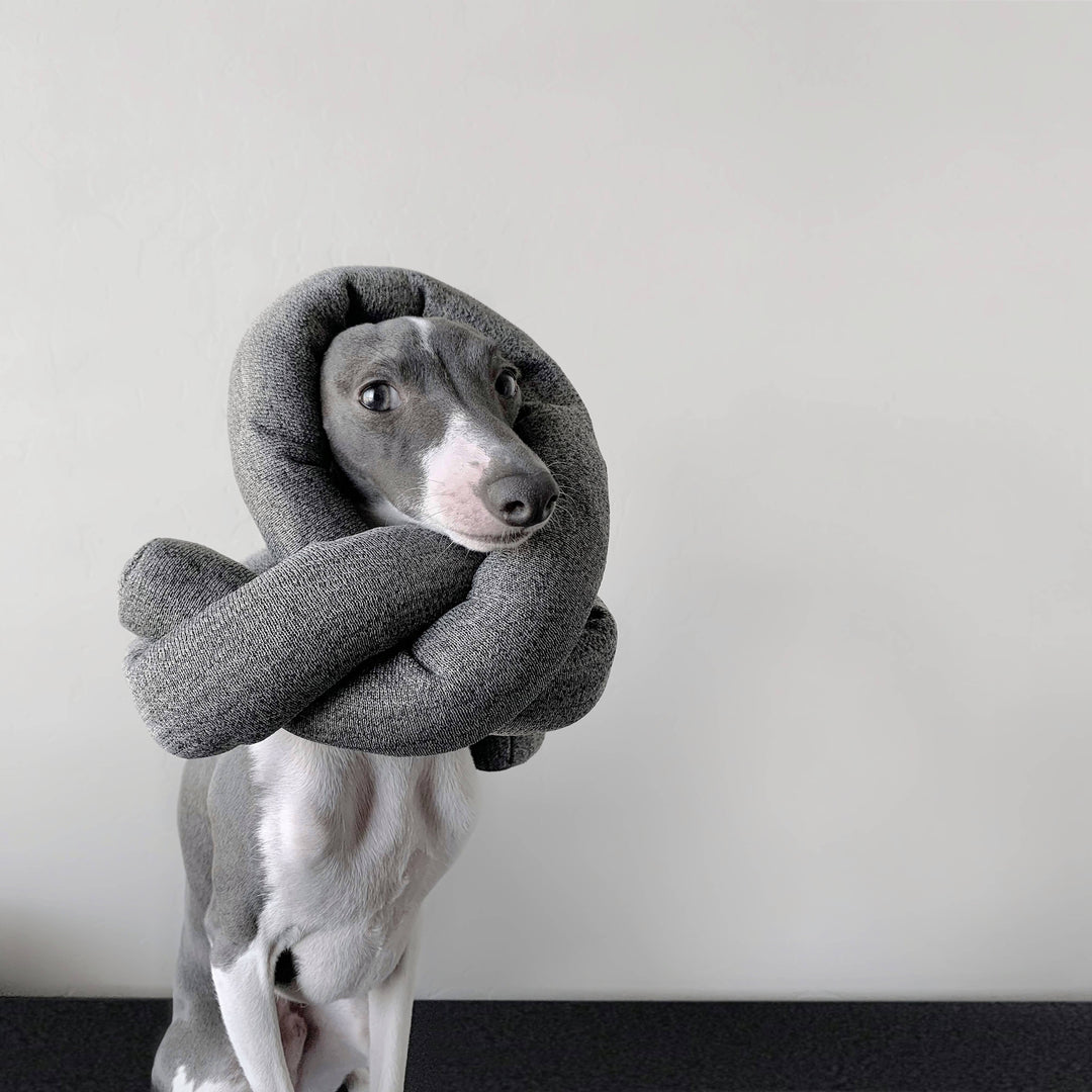 Nou Charcoal Enrichment Toy