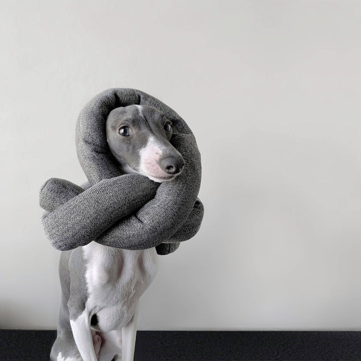 Nou Charcoal Enrichment Toy