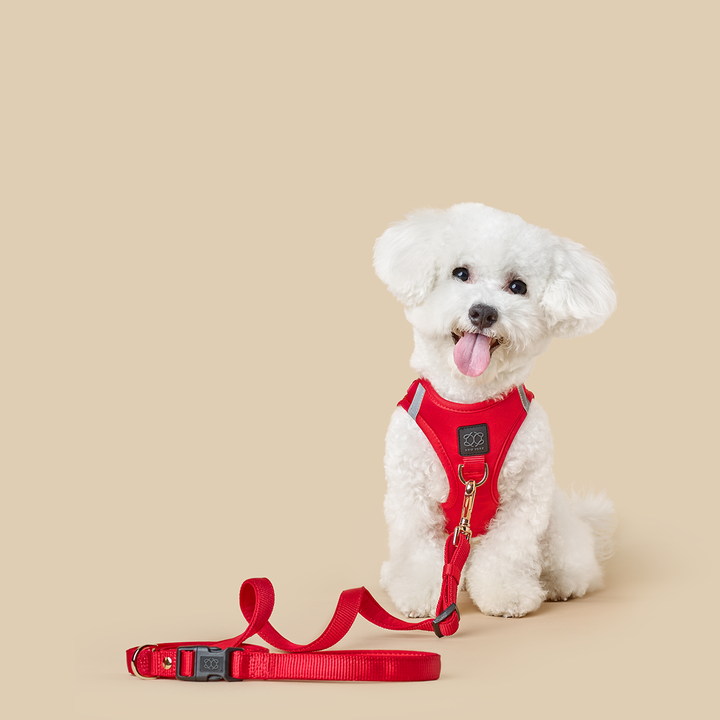 Iconic Red