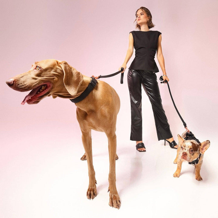 3-in-1 City Dog Leash - Rockstar