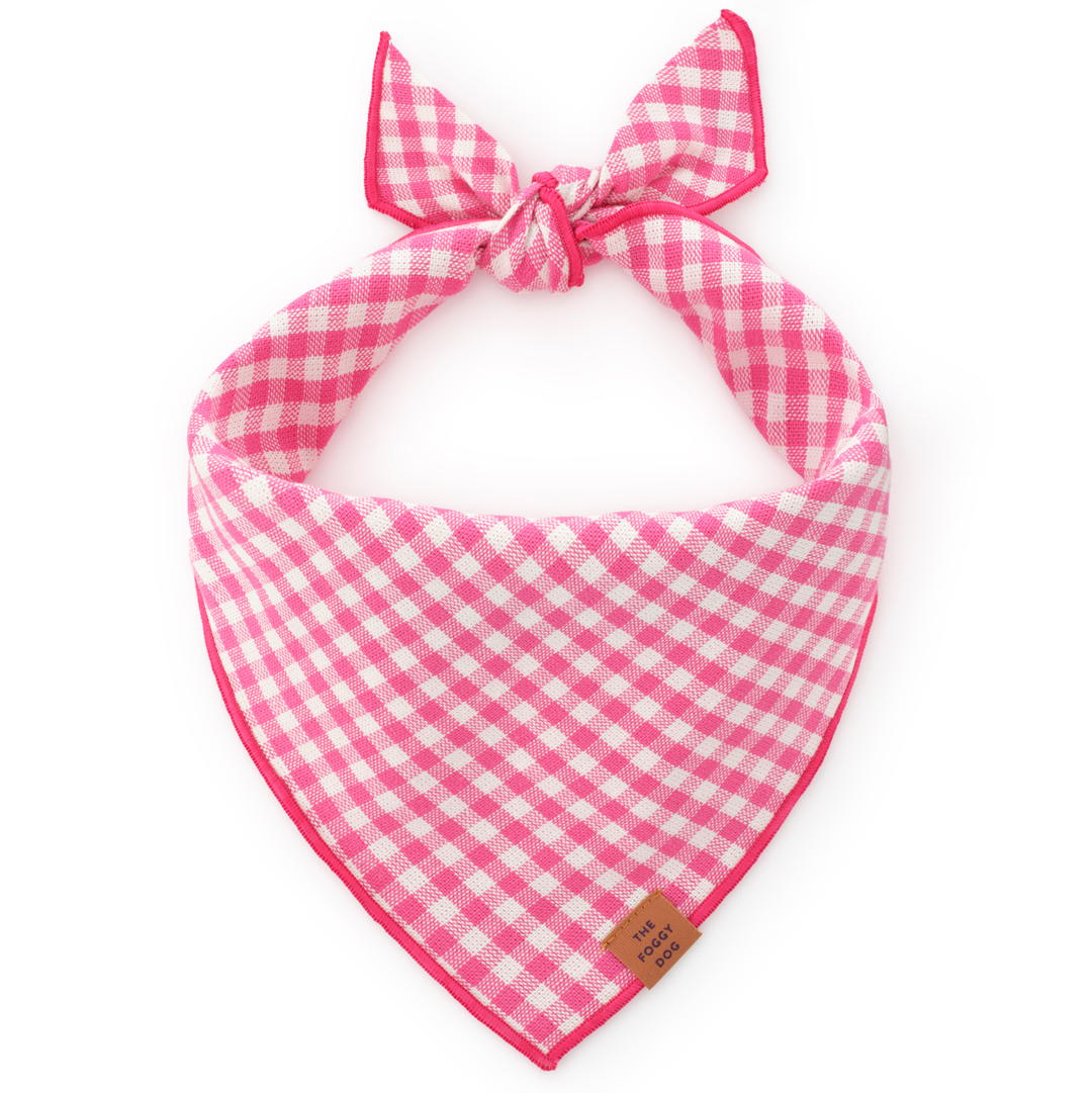 Hot Pink Gingham Dog Bandana