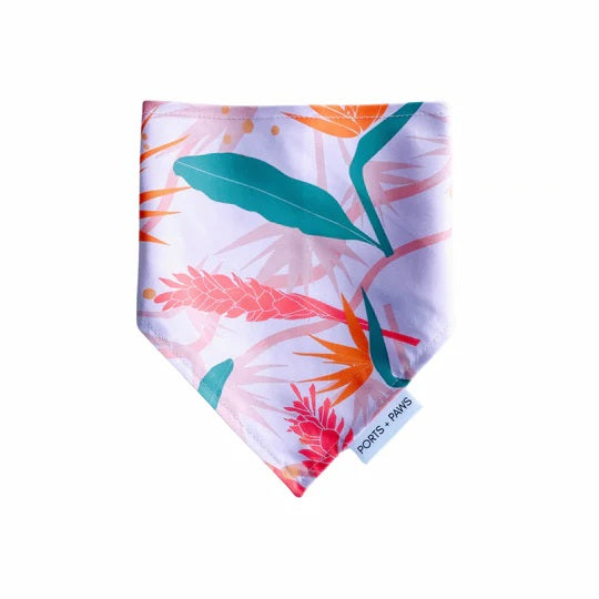 Bandana - Paiko