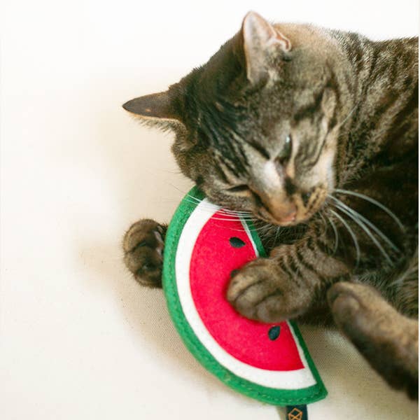 Watermelon Wool Organic Catnip Toy