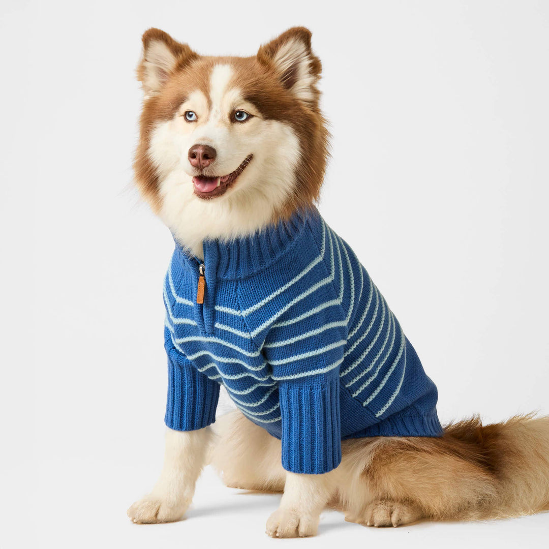 Blue Stripe Quarter-Zip Dog Sweater