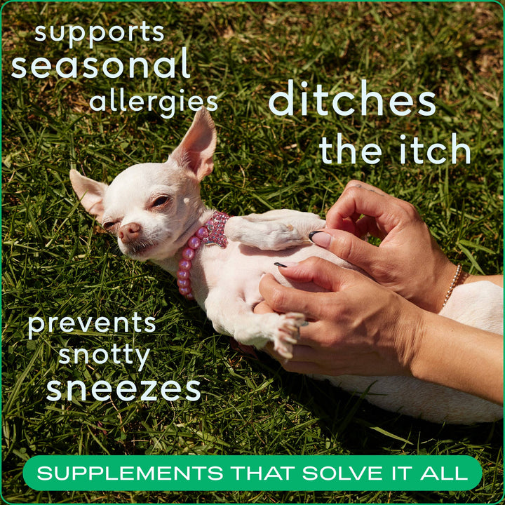 Allergy &amp; Immune Chews