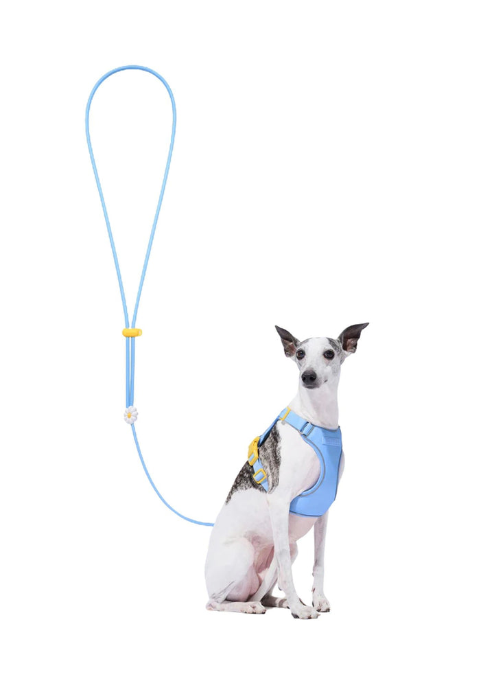 Daisy Connect Premium Classic Hands-Free Rope Leash