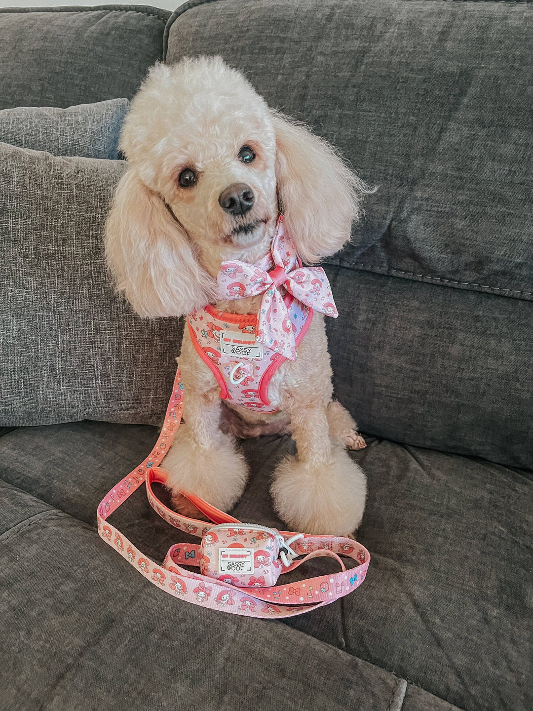 My Melody™ Adjustable Harness
