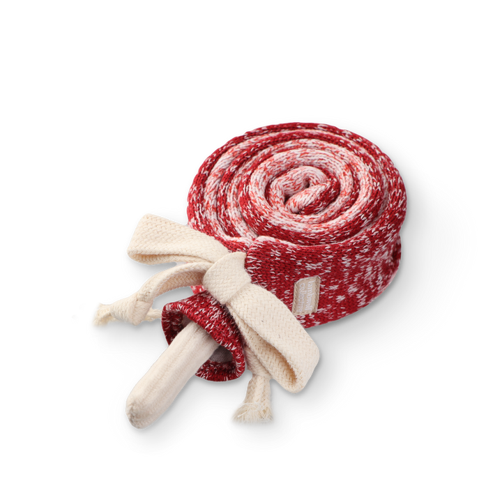 Lollipop Enrichment Toy
