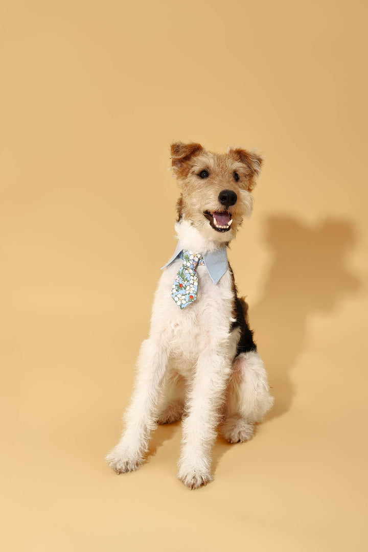 Blue Botanique Necktie Bandana