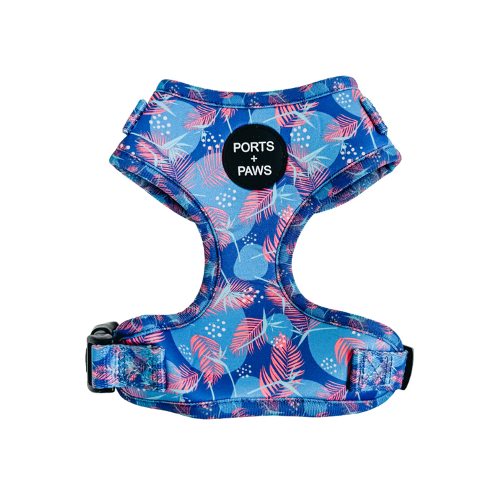 Harness - Porter