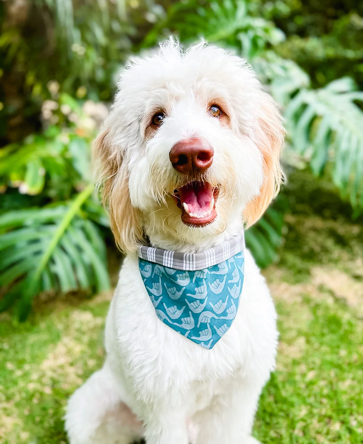 Bandana - Shaka Blue