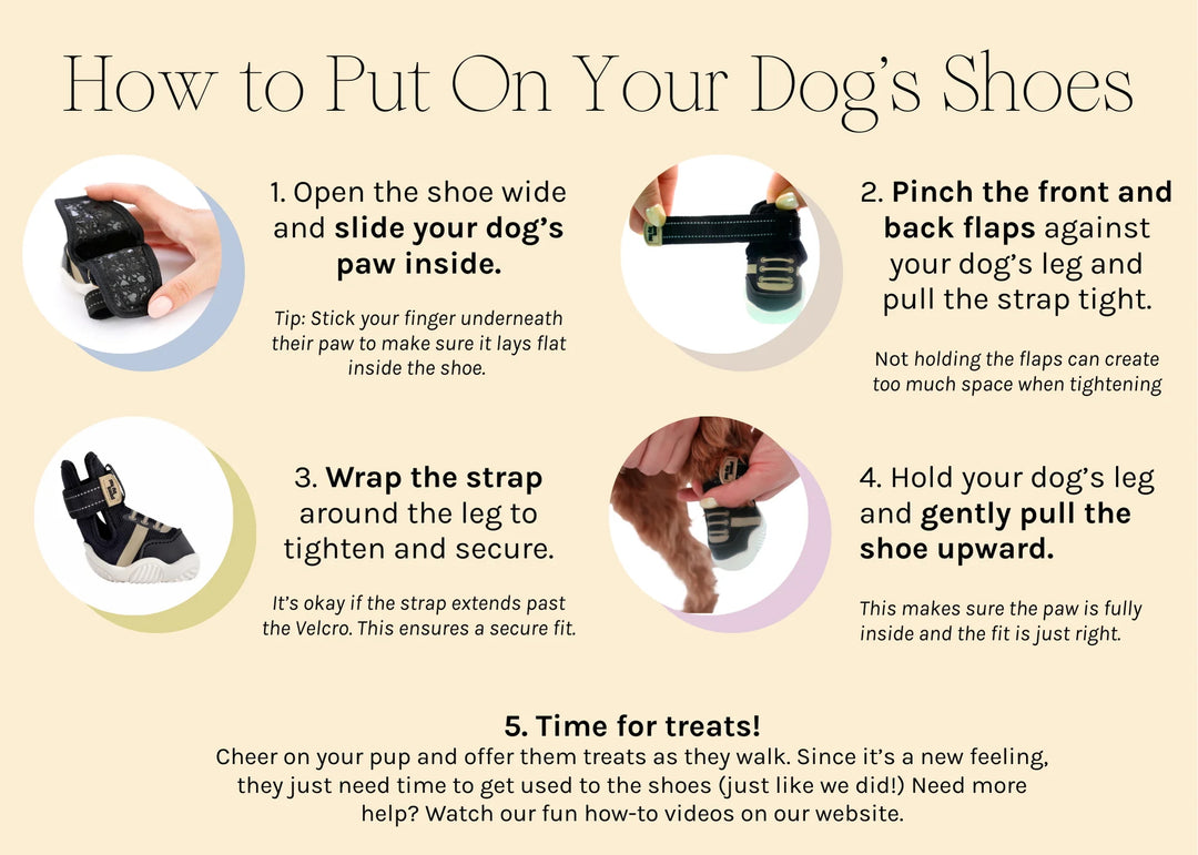 Paws by Kai Black Shoes